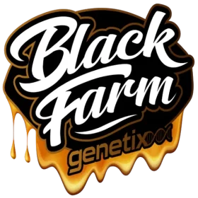 Black Farm Genetix Rainbow Zoe  - 5 feminisierte Samen