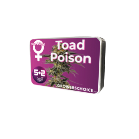 Growers Choice Toad Poison 3+1 feminisierte Samen