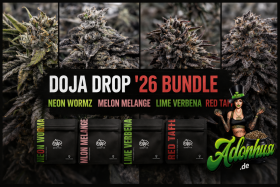 Doja Drop ’26 Bundle