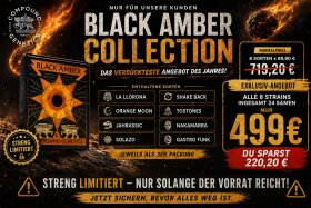 BLACK AMBER COLLECTION – LIMITIERTES EXKLUSIV-ANGEBOT