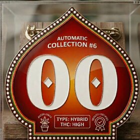 00 Seeds Bank Automatic Collection #6 - 6 autoflowering...